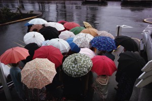 Group-of-Umbrellas.png