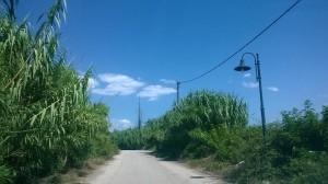 road_2