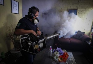 Campaign of fumigation against the mosquito that transmit the Zika virus