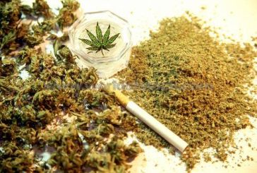 Τέσσερις συλλήψεις για κατοχή ναρκωτικών ουσιών στην Ηλεία
