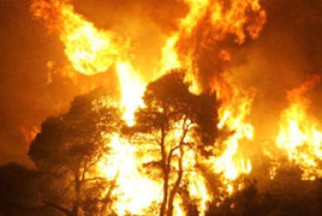 Στις φλόγες ο δήμος Ακτίου -Βόνιτσας. Καίγεται και η περιοχή από Κορπή έως Θύρρειο