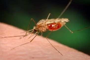 Απαιτούνται μέτρα και όχι μόνο ημερίδες για την πρόληψη της ελονοσίας