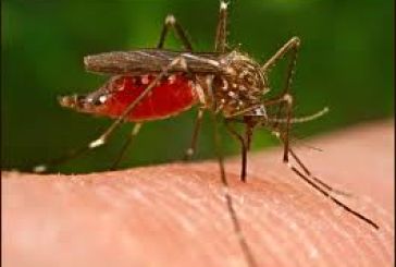 Κρούσμα ελονοσίας στην Αιτωλοακαρνανία