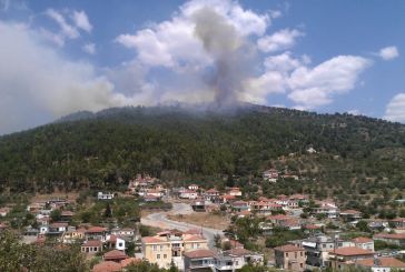 Δυσκολεύει η μάχη με τη φωτιά στην Παραβόλα (φωτό)