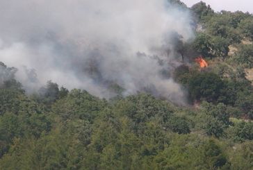 Video από την φωτιά στην Παραβόλα