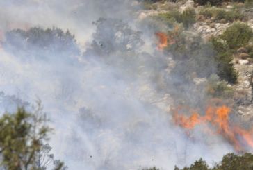 Φωτιά στα Αη-Βασιλιώτικα, κορμοί καίγονται ακόμα στην Παραβόλα