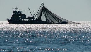 Διαμαρτύρονται για την χρησιμοποίηση μηχανότρατας οι ψαράδες της Βόνιτσας