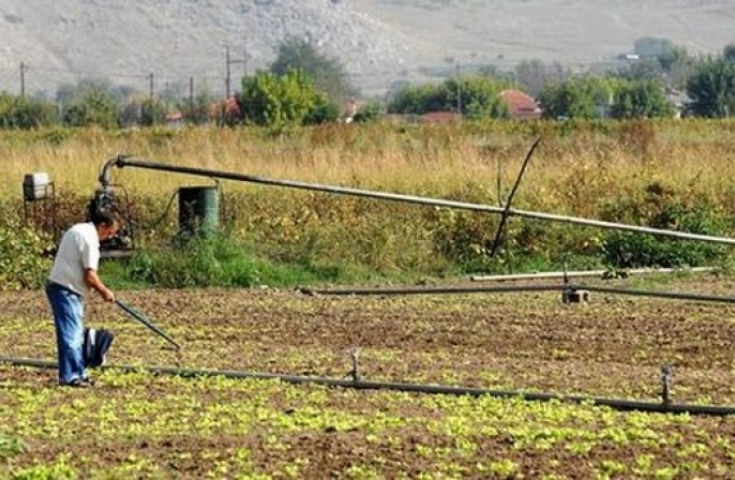 Δυτική Ελλάδα: Στο στόχαστρο της εφορίας 80000 στρέμματα αγροτικής γης