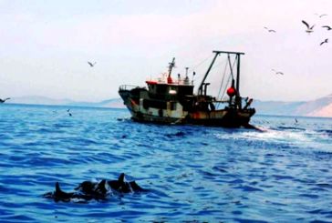 Αμβρακικός: Σοβαρή απειλή η αλιεία με μηχανότρατα