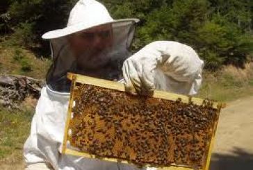 Πρόγραμμα εκπαίδευσης μελισσοκομίας στο Αγρίνιο