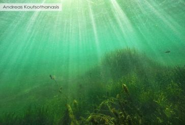 Η Τριχωνίδα κάτω από το νερό: Υποβρύχιες φωτό της λίμνης!