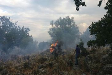 Πυρκαγιά σε δασική έκταση στο Στρογγυλοβούνι Ξηρομέρου