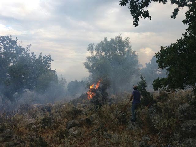 Πυρκαγιά σε δασική έκταση στο Στρογγυλοβούνι Ξηρομέρου