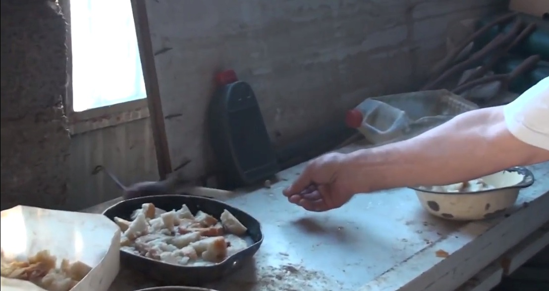 Ταΐζει αρουραίο στην Παραβόλα (βίντεο)