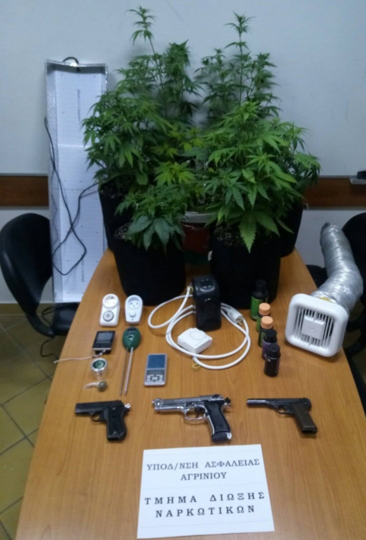 Για καλλιέργεια ναρκωτικών και οπλοκατοχή κατηγορείται άνδρας που συνέληφθη στην περιοχή της Παλαίρου