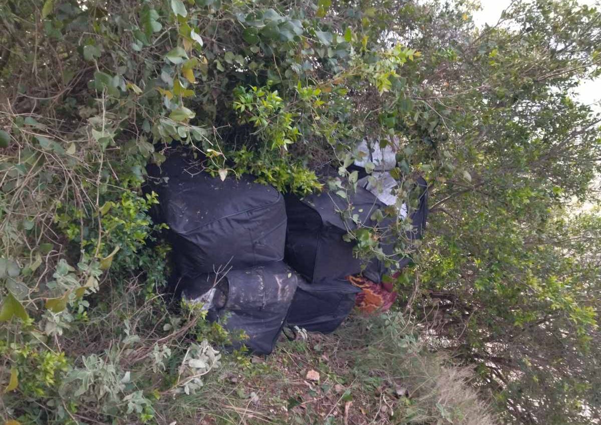 Θεσπρωτία: Κρυμμένα 192 κιλά κάνναβης σε δύσβατη περιοχή κοντά στα ελληνοαλβανικά σύνορα