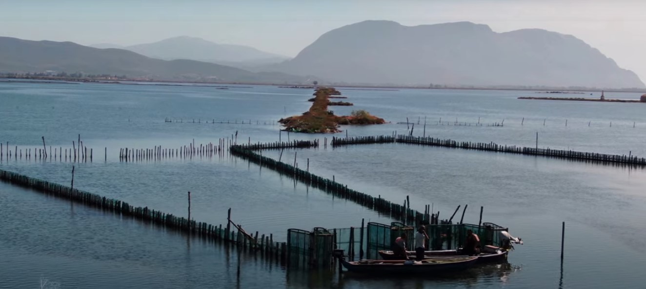 Μεσολόγγι: η μαγεία της λιμνοθάλασσας και το ιστορικό νησάκι της Κλείσοβας (βίντεο)