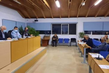Ομόφωνο ψήφισμα από το Δημοτικό Συμβούλιο Μεσολογγίου για την ελιά Καλαμών