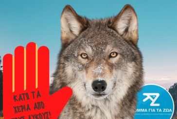 Κόμμα για τα Ζώα: Κάτω τα χέρια από τους λύκους και την άγρια ζωή!