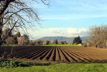 Προγράμματα κατάρτισης για νέους γεωργούς στους δήμους Μεσολογγίου και Ξηρομέρου