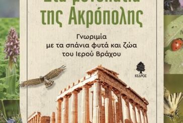 «Στα μονοπάτια της Ακρόπολης»: παρουσιάζεται στο Αγρίνιο το βιβλίο για τα σπάνια φυτά και ζώα του Ιερού Βράχου