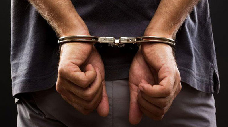 Αγρίνιο: βρήκε ένα δενδρύλλιο σε σπίτι, συνέλαβε έναν άνδρα η Αστυνομία