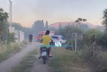 Φωτιά σε αγροτική έκταση στην Παλαιοπαναγιά Ναυπακτίας